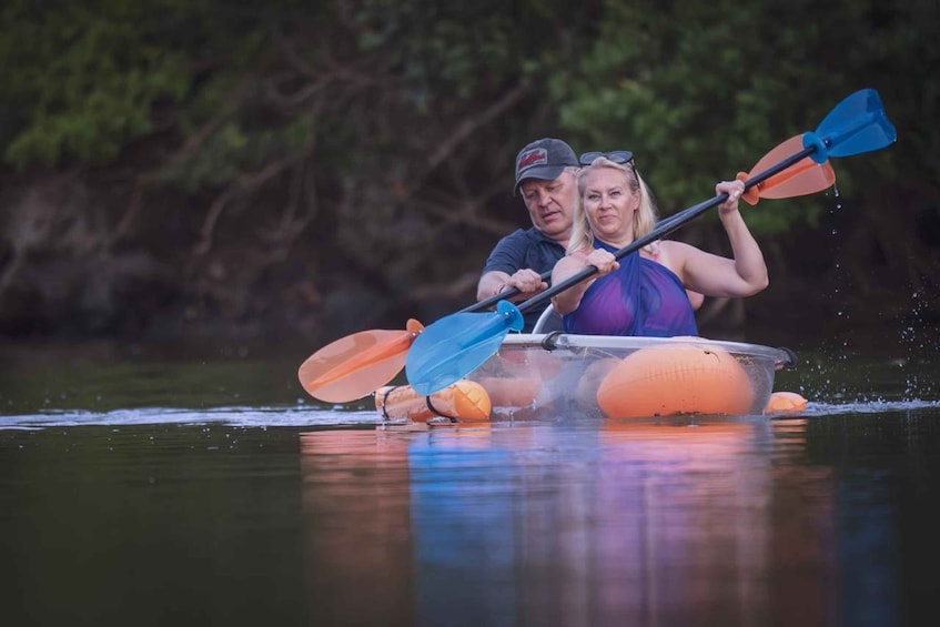 Two people kayaking on a calm river surrounded by greenery. 3