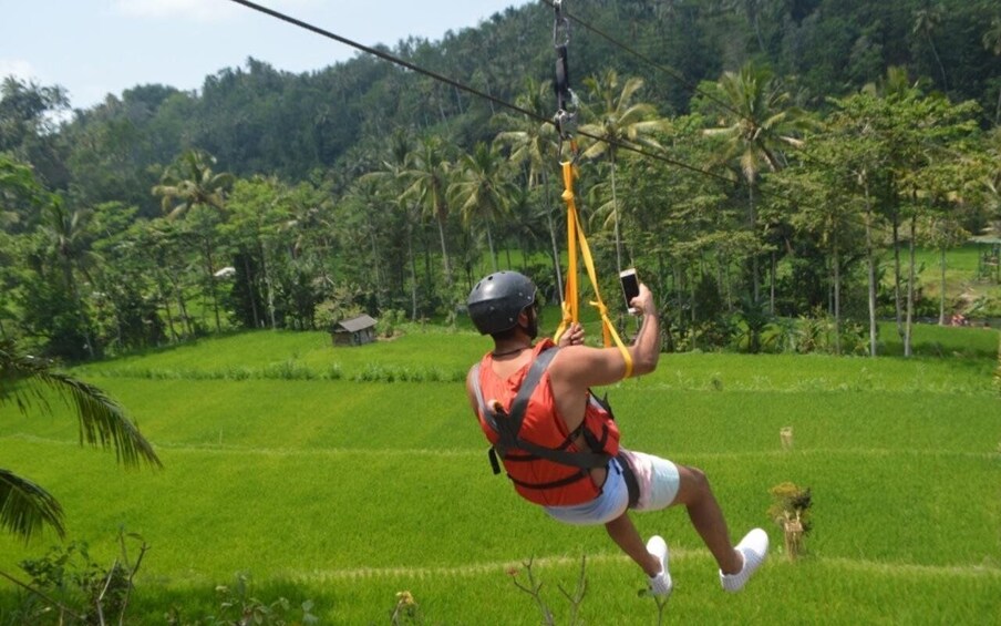 A person zip-lining over a lush green landscape with palm trees and a forested hill in the background. 3