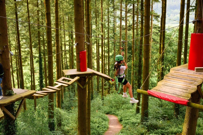 Betws-y-Coed: Family treetop adventure course (Tree Hoppers) 1