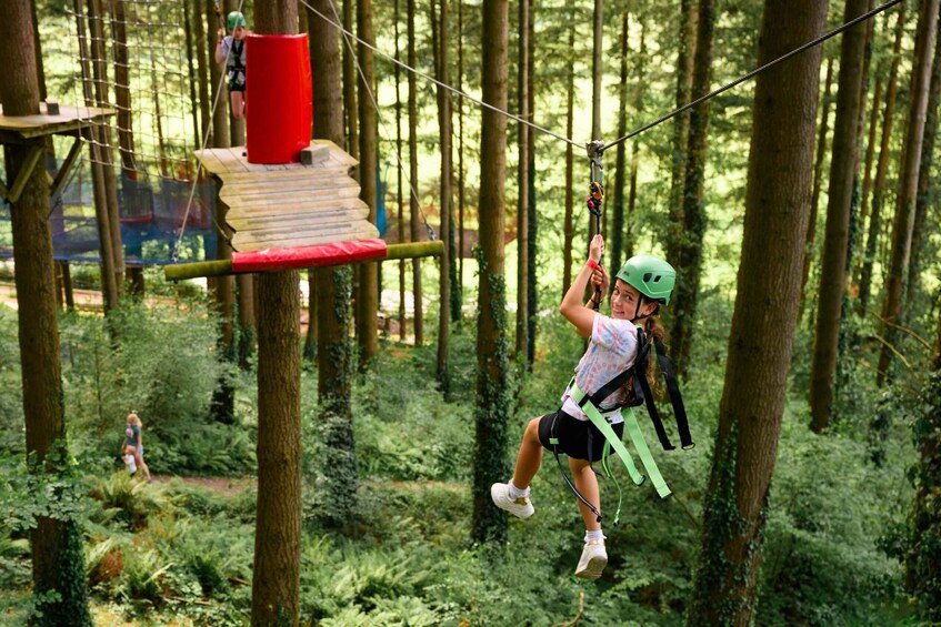 Picture 15 for Activity Betws-y-Coed: Family treetop adventure course (Tree Hoppers) 4