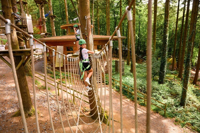Picture 11 for Activity Betws-y-Coed: Family treetop adventure course (Tree Hoppers) 5