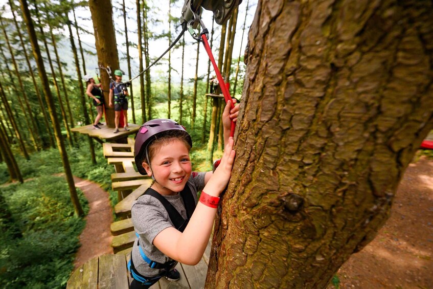 Picture 3 for Activity Betws-y-Coed: Family treetop adventure course (Tree Hoppers) 3