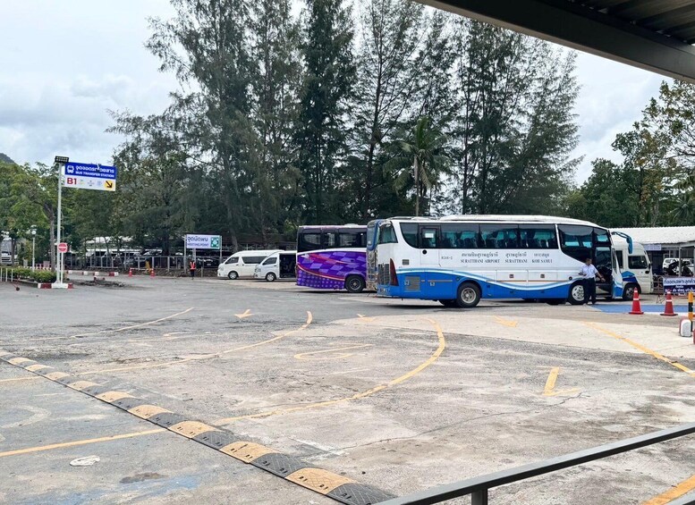 A bus station with buses, a sign for Surat Thani Airport, and a meeting point. 2