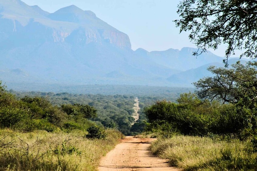 A dirt road leading through a forested area with mountains in the background. 1