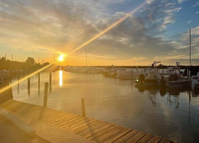 A marina at sunset with boats docked and a wooden pier. 4