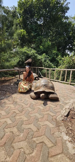 A person sitting next to a large tortoise on a paved path with trees in the background. 5