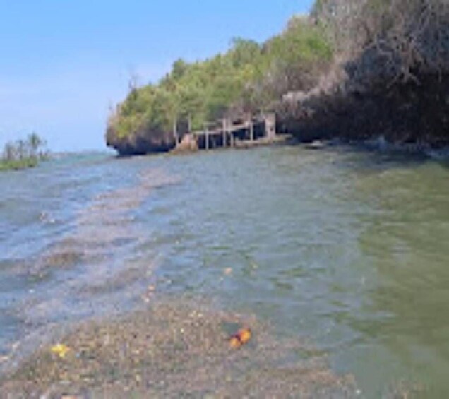 Picture 10 for Activity Diani Beach: Kisite Marine Park & Wasini Island Day Trip 2