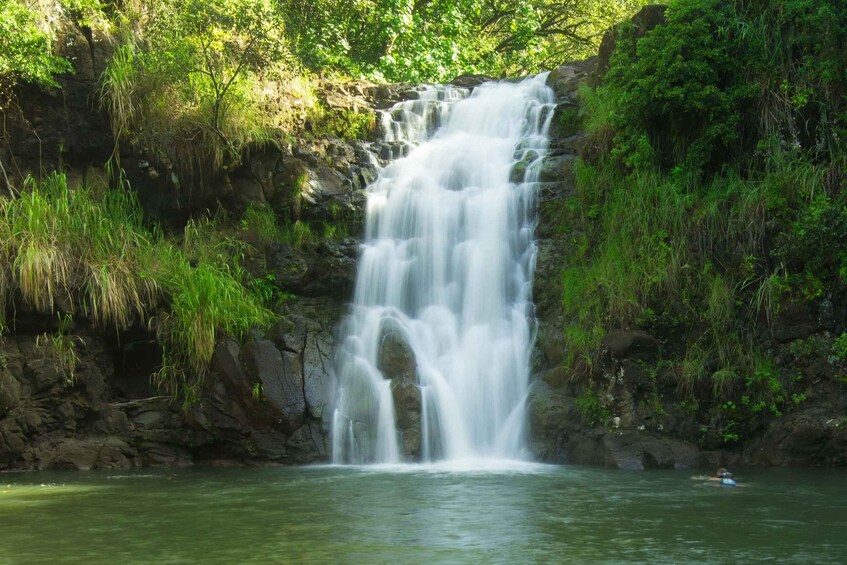 A waterfall cascading over rocks into a pool of water, surrounded by lush greenery. 1