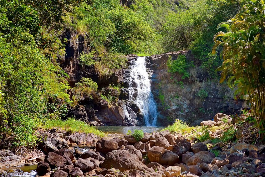 A waterfall in a forested area with rocks and greenery. 2