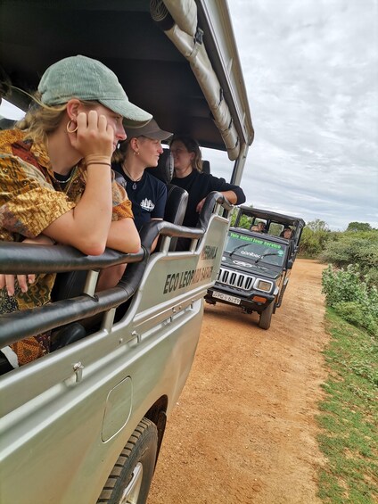A safari vehicle with passengers, a dirt road, and greenery in the background. 5
