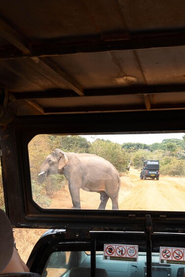 An elephant walking on a dirt road with vehicles in the background. 4