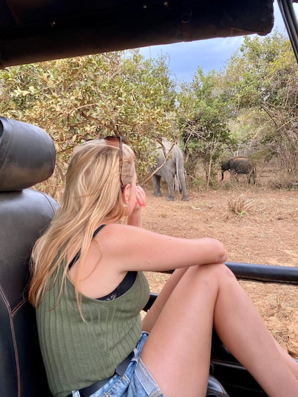 A person in a vehicle observing elephants in a natural setting. 3