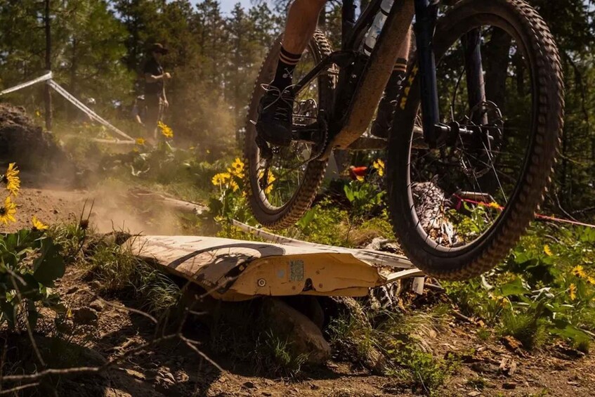 A mountain biker navigating a trail with a wooden obstacle. 1