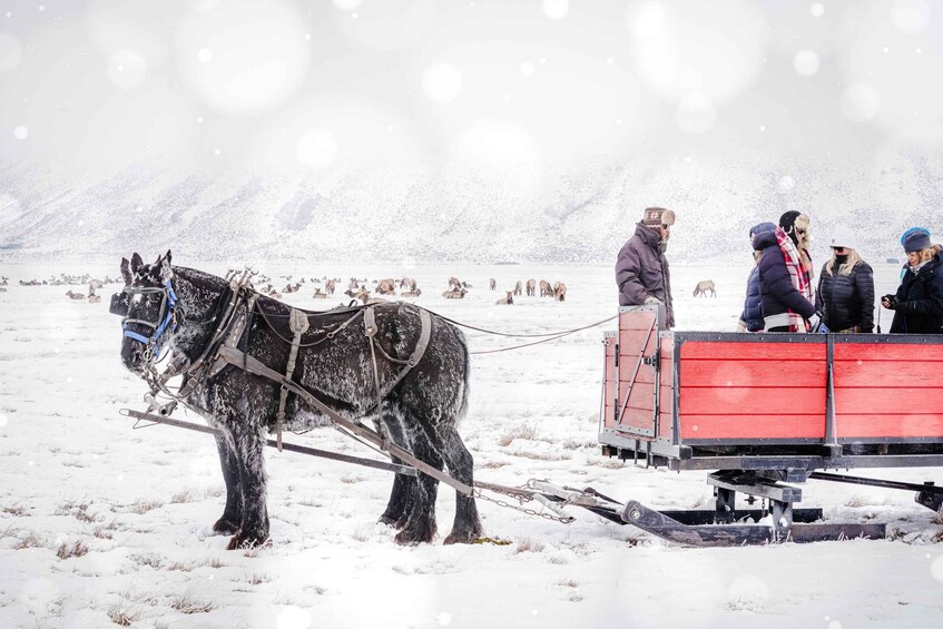 A horse-drawn sleigh in a snowy landscape with a group of people. 1