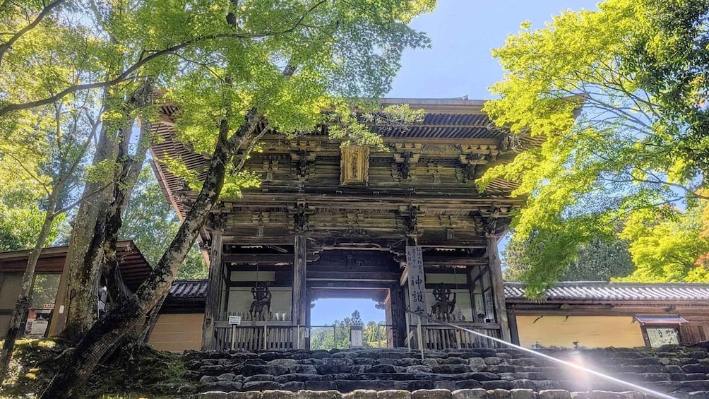 Picture 2 for Activity A quiet and hidden spot in Kyoto : Takao area Walking Tour 2