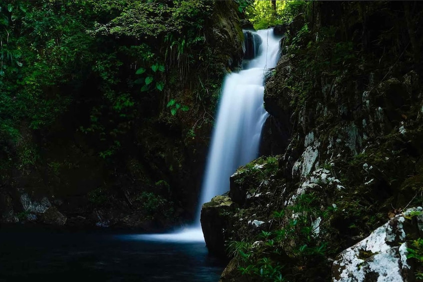 A waterfall cascading down a rocky cliff surrounded by dense green foliage. 3