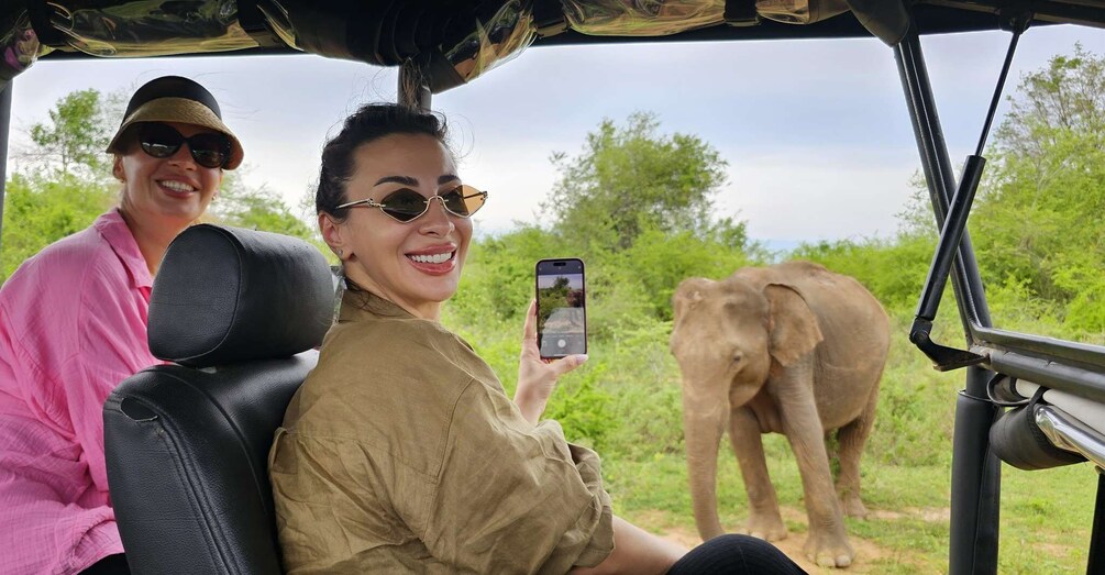 Picture 4 for Activity From Around Tangalle: Half-Day Yala Safari Private Tour(M/E) 5
