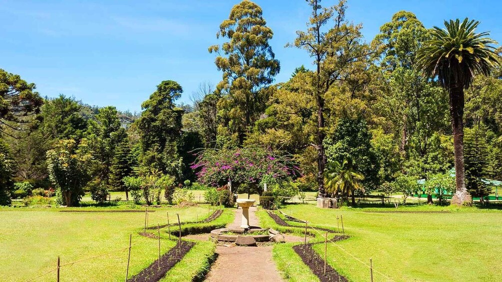 A well-maintained garden with a central pathway, surrounded by various trees and shrubs. 5