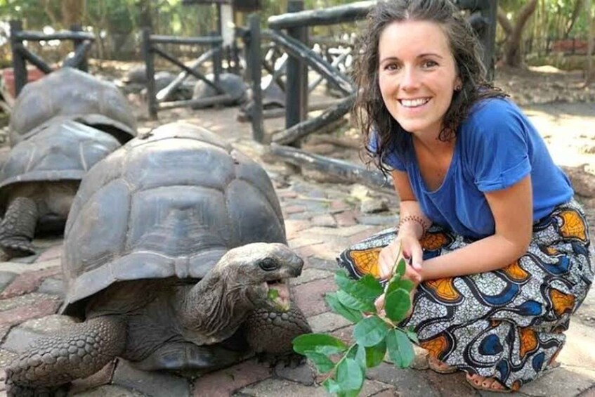A person crouching next to a tortoise in a zoo enclosure. 4