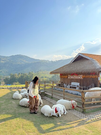 A person with sheep in a rural setting, a thatched-roof hut, and a mountainous landscape. 3