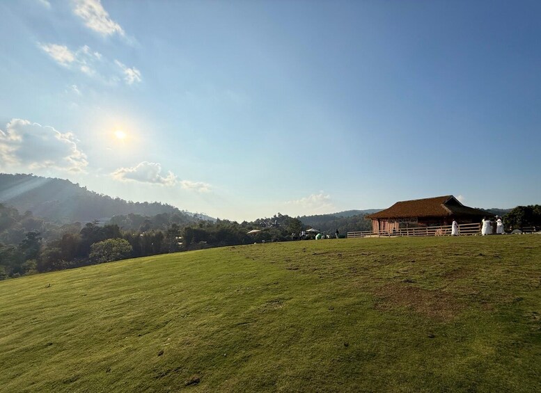 A grassy field with a thatched-roof building and a mountain in the background. 4