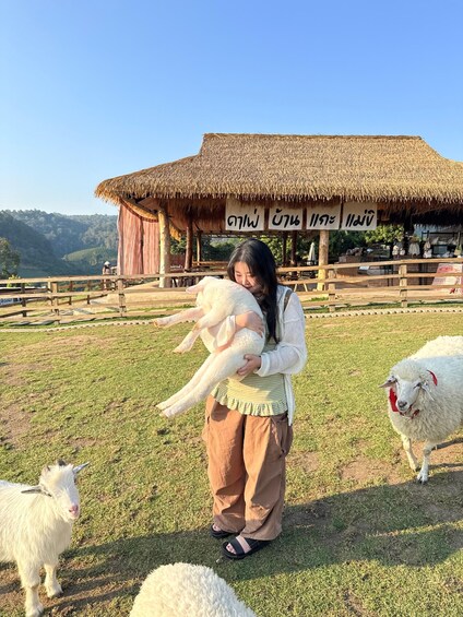 A person holding a lamb in a grassy field with a thatched-roof structure in the background. 2