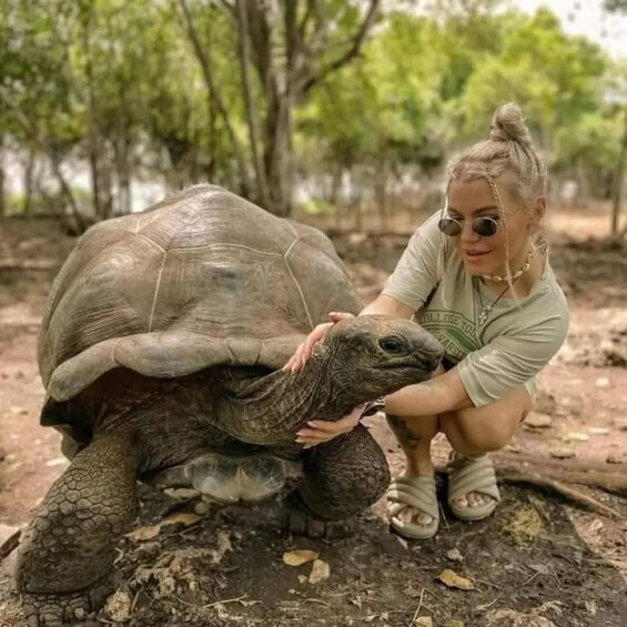 A person crouching beside a large tortoise in a natural setting with trees in the background. 1