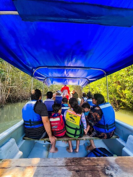 A group of people on a boat with a guide, wearing life jackets, in a mangrove area. 1