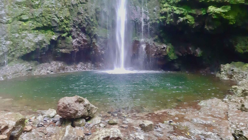 A waterfall cascading into a clear pool surrounded by rocky terrain and greenery. 1