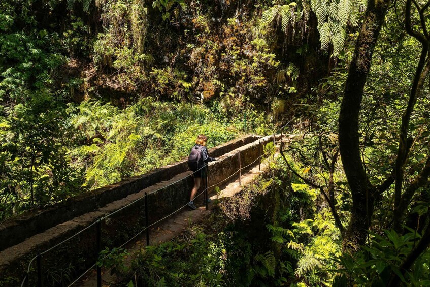 A person walking on a stone bridge surrounded by dense forest. 3