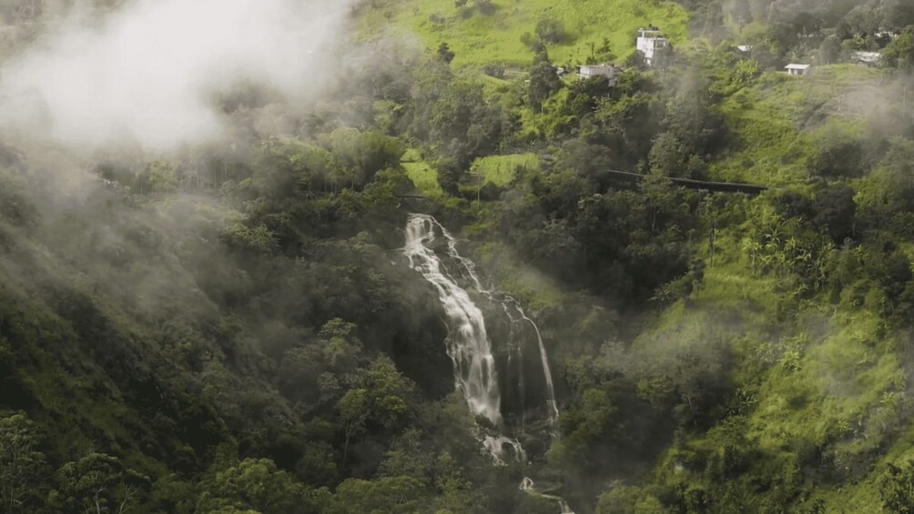 A waterfall surrounded by lush greenery and a few buildings in the background. 4