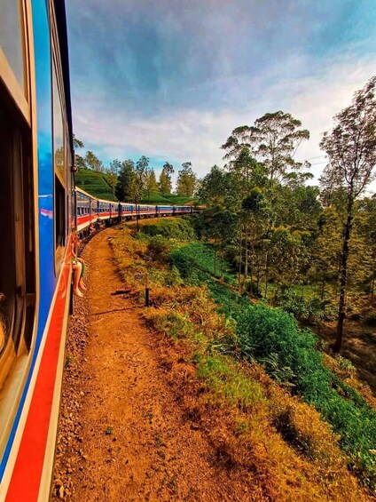 A train traveling through a hilly, forested area with a dirt track. 3