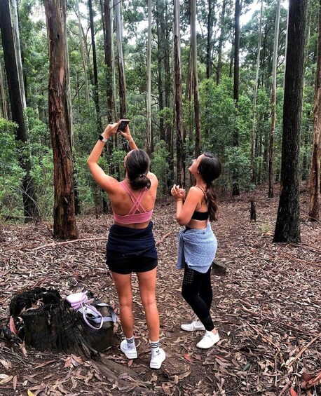 Two people in a forest, one taking a photo of the other. 1