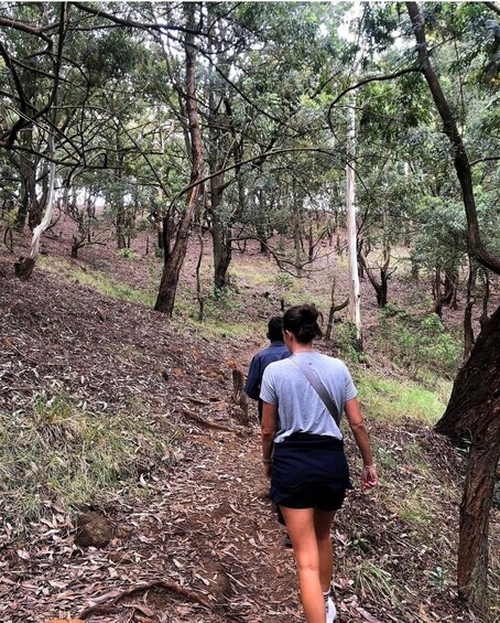 Two people walking on a forest trail surrounded by trees. 5