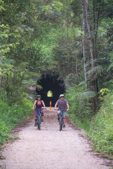 Picture 4 for Activity Rail Trail E-Bike Ride, Husk Distillery Tour Tasting & Lunch 3