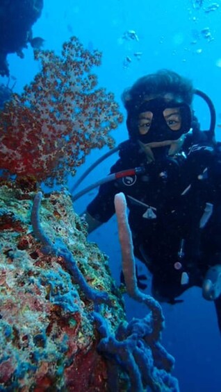 A diver exploring a coral reef with vibrant marine life. 2