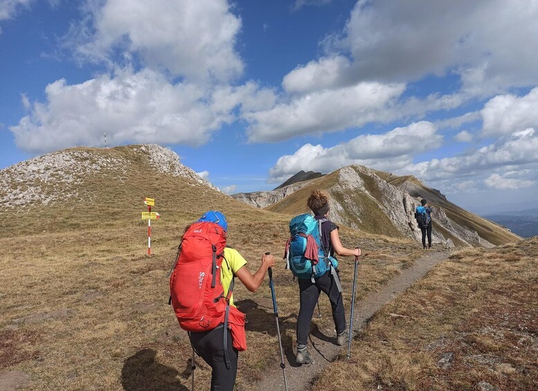 Hikers on a mountain trail with rocky terrain and a clear sky. 1