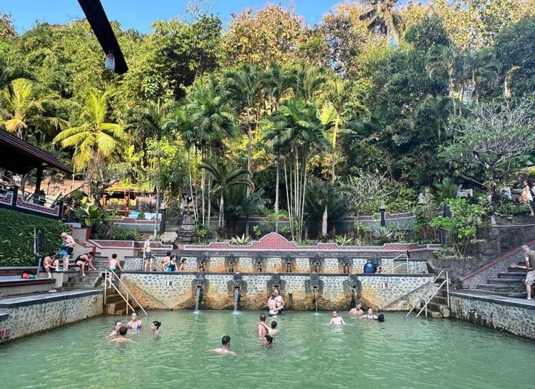 A natural pool surrounded by lush greenery and stone steps leading into the water. 4