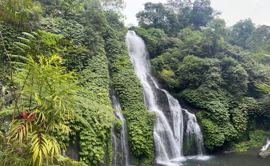 A waterfall surrounded by dense green foliage. 1