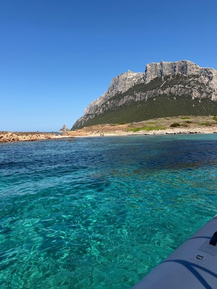 Golfo Aranci: Full-day cruise between Tavolara and Molara with Sardinian aperitif 1