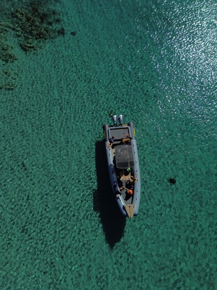 Picture 19 for Activity Golfo Aranci: Full-day cruise between Tavolara and Molara with Sardinian aperitif 3