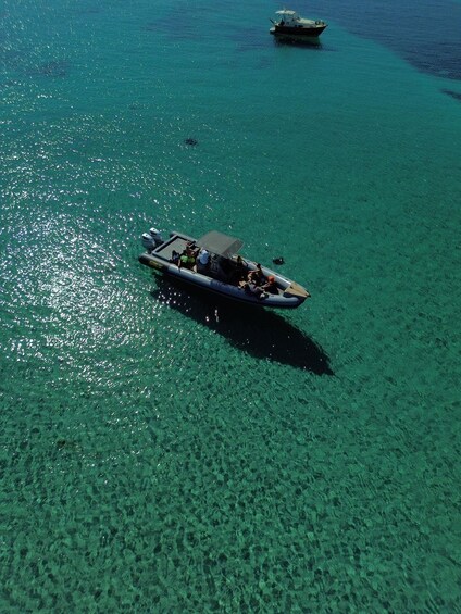 Picture 18 for Activity Golfo Aranci: Full-day cruise between Tavolara and Molara with Sardinian aperitif 5