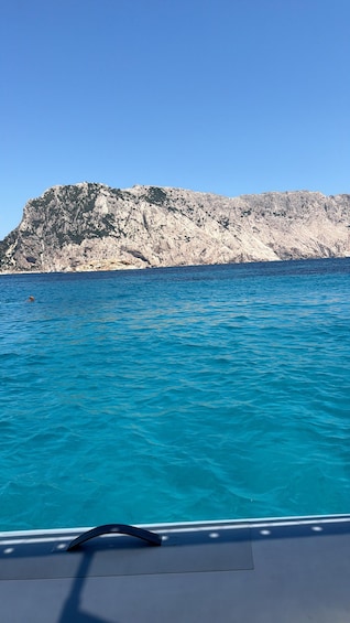 Picture 11 for Activity Golfo Aranci: Full-day cruise between Tavolara and Molara with Sardinian aperitif 4