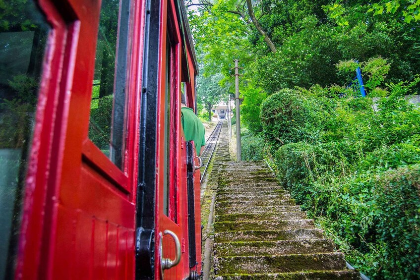 A red train on a track surrounded by lush greenery and a stone staircase. 2