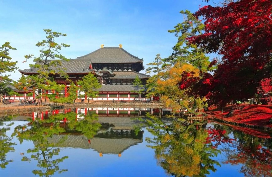 Picture 3 for Activity Kyoto/Osaka: Kyoto&Nara Private Guided English Speaking Tour 2