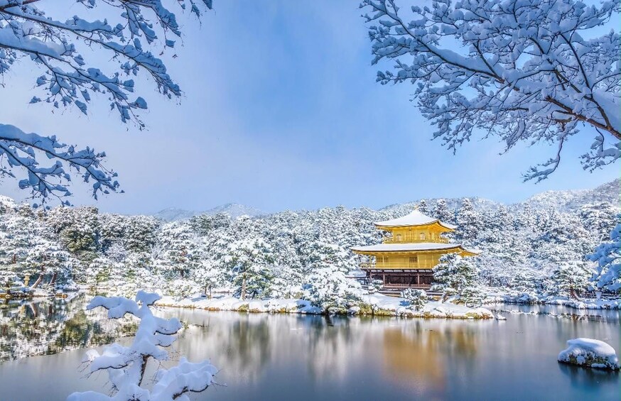 Picture 6 for Activity Kyoto/Osaka: Kyoto&Nara Private Guided English Speaking Tour 4