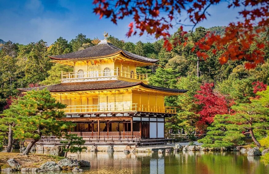 Picture 7 for Activity Kyoto/Osaka: Kyoto&Nara Private Guided English Speaking Tour 3