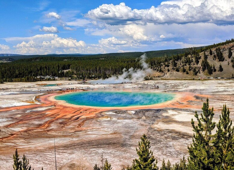 A geothermal hot spring with a turquoise center, surrounded by mineral deposits and a forested hillside. 1