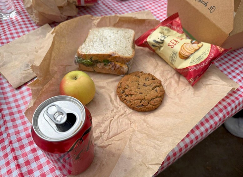 A sandwich, an apple, a cookie, a can of soda, and a bag of chips on a checkered tablecloth. 5