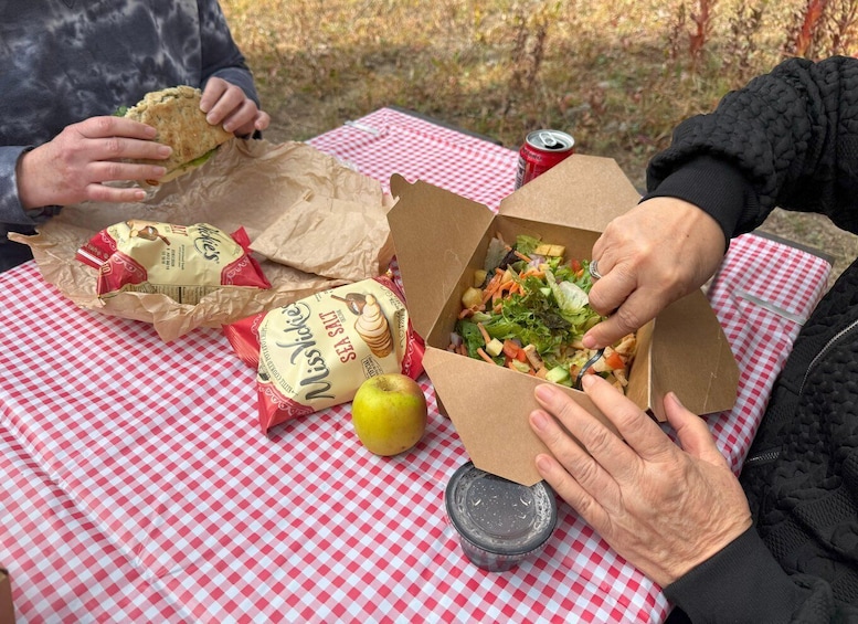 People at a picnic with a checkered tablecloth, food in paper containers, and a can of soda. 4